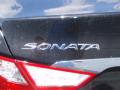 2014 Sonata Limited #13