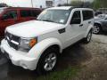 Front 3/4 View of 2007 Dodge Nitro SLT 4x4 #3 Front 3/4 View of 2007 Dodge Nitro SLT 4x4 #3