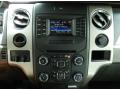 Controls of 2014 Ford F150 XLT SuperCrew #10