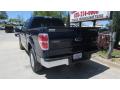 2010 F150 Lariat SuperCrew #5 2010 F150 Lariat SuperCrew #5
