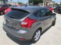 2014 Focus SE Hatchback #5 2014 Focus SE Hatchback #5