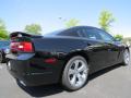 2014 Charger R/T Max #3