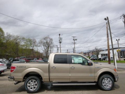 Pale Adobe Ford F150 XLT SuperCrew 4x4.  Click to enlarge.