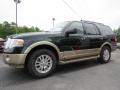 Front 3/4 View of 2013 Ford Expedition XLT #3