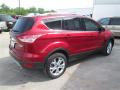 2014 Escape Titanium 1.6L EcoBoost #5