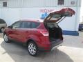 2014 Escape Titanium 1.6L EcoBoost #14