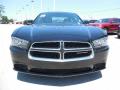 2014 Charger SE #13
