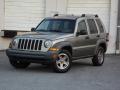 Front 3/4 View of 2005 Jeep Liberty Renegade 4x4 #10