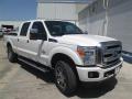 2015 F250 Super Duty Platinum Crew Cab 4x4 #2