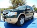 Front 3/4 View of 2014 Ford Expedition XLT #1