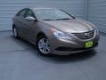 2014 Sonata GLS #2
