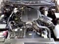  2004 Grand Marquis 4.6 Liter SOHC 16 Valve V8 Engine #14