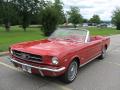 1965 Mustang Convertible #2