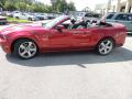 2014 Mustang GT Convertible #2