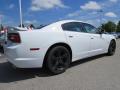 2014 Charger R/T Plus #3