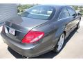 2010 CL 550 4Matic #9