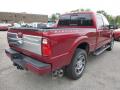 2015 F250 Super Duty Platinum Crew Cab 4x4 #2