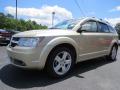 Front 3/4 View of 2010 Dodge Journey R/T #3