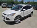 2014 Escape Titanium 1.6L EcoBoost #3