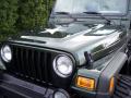 2004 Wrangler Willys Edition 4x4 #14