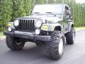  2004 Jeep Wrangler Moss Green Pearlcoat #16