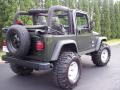  2004 Jeep Wrangler Moss Green Pearlcoat #23