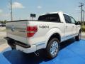 2014 F150 Platinum SuperCrew 4x4 #3