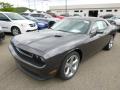 2014 Challenger R/T Plus #2