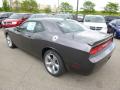 2014 Challenger R/T Plus #8