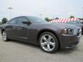 2014 Charger SE #4 2014 Charger SE #4