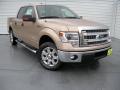 2014 F150 XLT SuperCrew #1