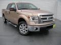 2014 F150 XLT SuperCrew #2