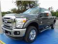 Front 3/4 View of 2015 Ford F350 Super Duty XLT Crew Cab 4x4 #1