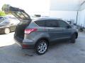 2014 Escape Titanium 1.6L EcoBoost #12