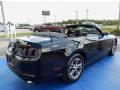 2014 Mustang V6 Convertible #11