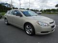 2010 Malibu LS Sedan #10