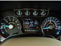  2014 Ford F150 King Ranch SuperCrew Gauges #10