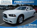 2014 Charger SE #1