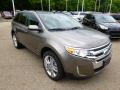 Front 3/4 View of 2014 Ford Edge SEL AWD #2