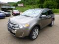 2014 Edge SEL AWD #4