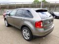 2014 Edge SEL AWD #6