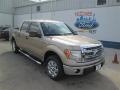 2014 F150 XLT SuperCrew #1 2014 F150 XLT SuperCrew #1