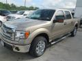 2014 F150 XLT SuperCrew #3 2014 F150 XLT SuperCrew #3