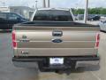 2014 F150 XLT SuperCrew #6 2014 F150 XLT SuperCrew #6