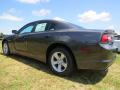 2014 Charger SE #2