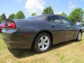2014 Charger SE #3