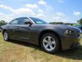 2014 Charger SE #4