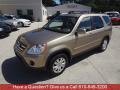 2006 CR-V SE 4WD #7