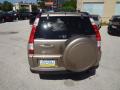 2006 CR-V SE 4WD #10