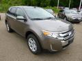2014 Edge SEL AWD #2 2014 Edge SEL AWD #2